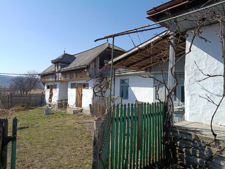 Casă individuală cu 4 camere cu Teren 9000 Mp în Prisaca