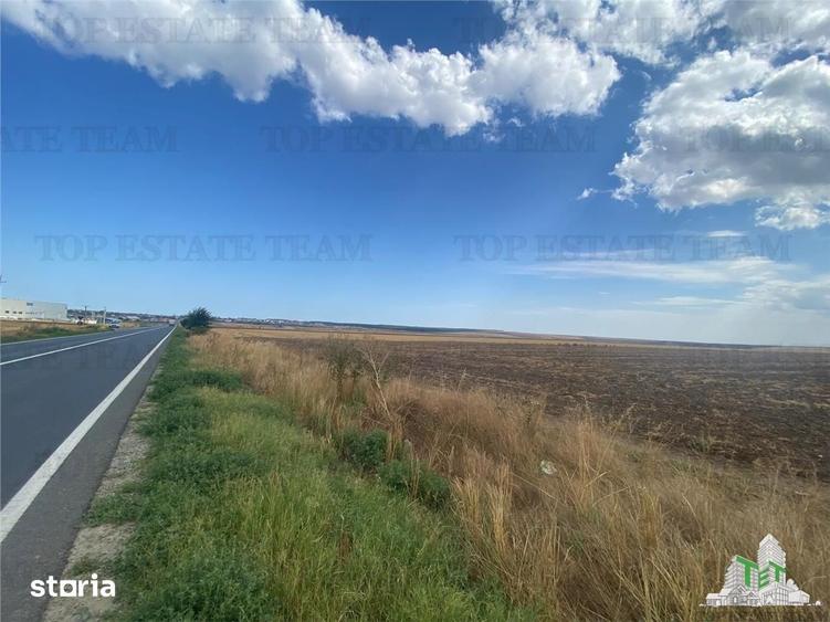 Teren de 24250 mp, în Mihail Kogălniceanu