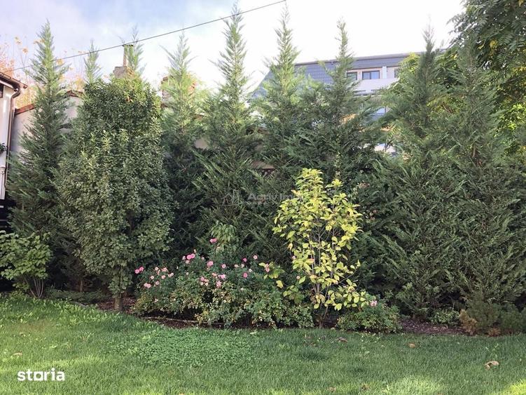Casă cu 4 camere cu Teren 1000 Mp în Timpuri Noi