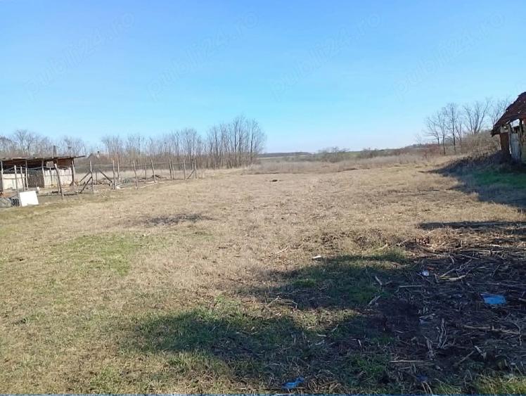 Vand loc de casa la 30 de km de oradea in ungaria ! - 2
