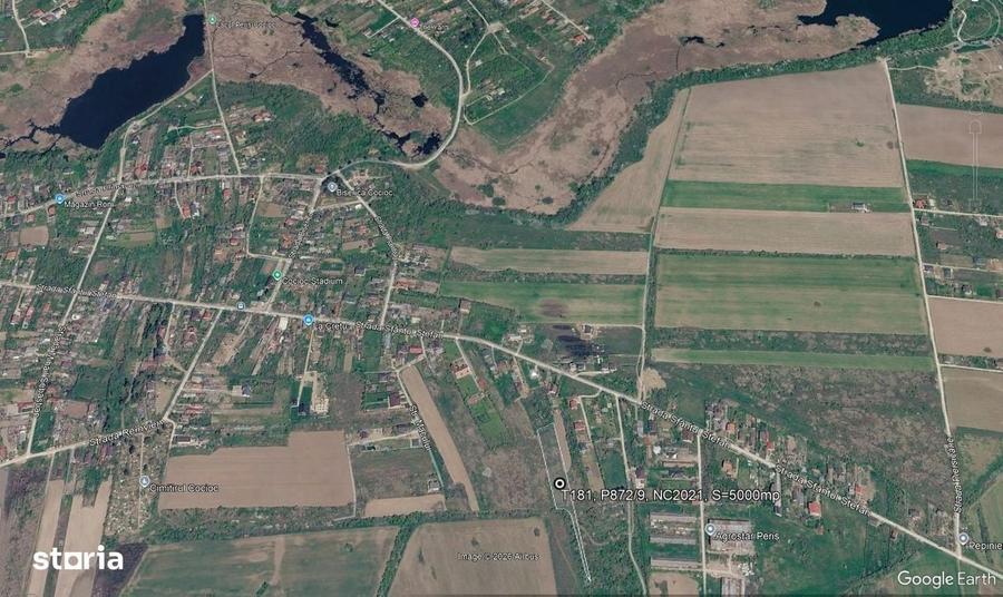 Snagov-str. Piersicariei - 1