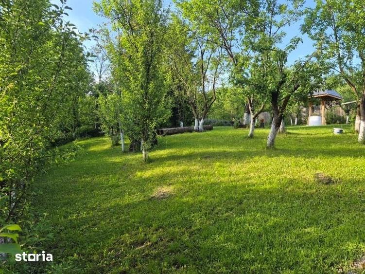 Casă cu 3 camere cu Teren 2250 Mp în Cerașu
