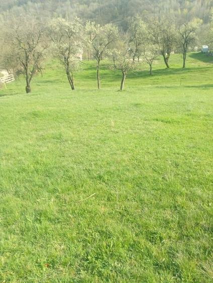Teren Construcții intravilan de 1000 mp, în Meteș