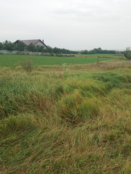 Teren Construcții intravilan de 938 mp, în Central