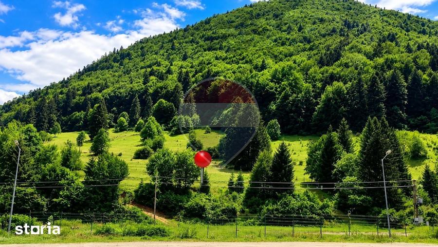 Teren intravilan 2500mp | Zarne?ti | Parcul Na?ional Piatra Craiului - 1