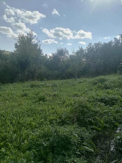 Vand teren intravilan aproape de Cluj - 2
