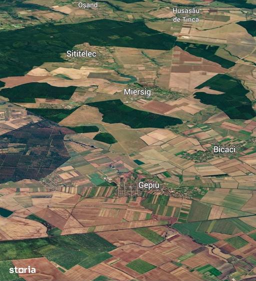 Teren de 10000 mp, în Gepiu