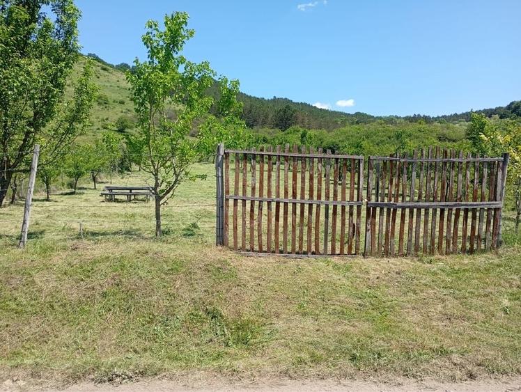 Teren de 12000 mp, în Țaga