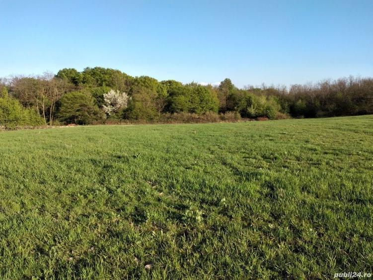 Teren de 5755 mp, în Cărănzel