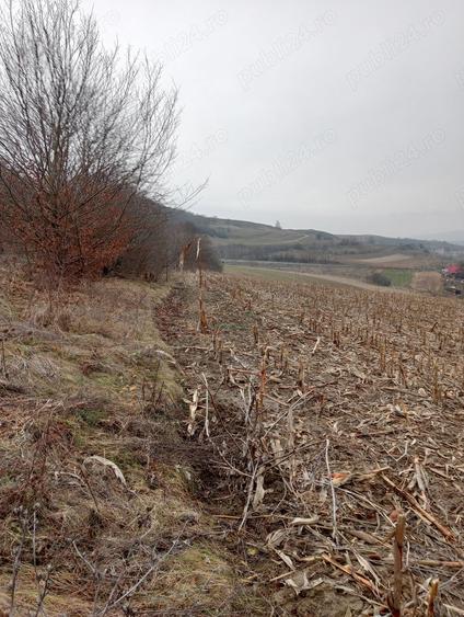Teren de 3000 mp, în Ruși