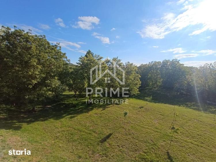 Casa / Proprietate deosebita cu 8142 MP teren | Oarda | - 16