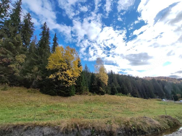 Teren de 10238 mp, în Vale