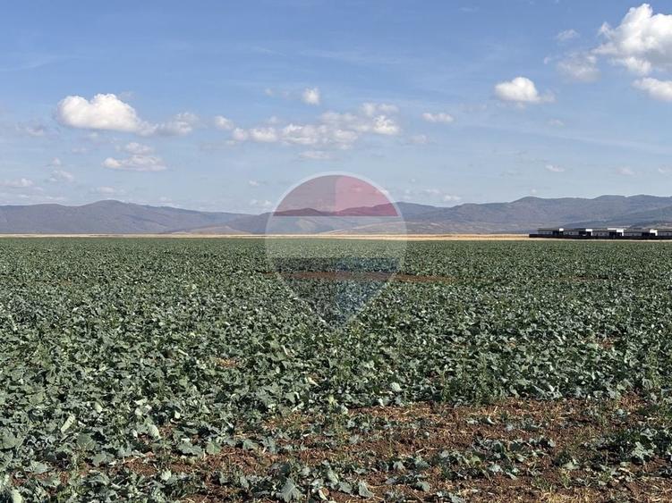 Teren agricol intravilan de 52410 mp, în Tărlungeni
