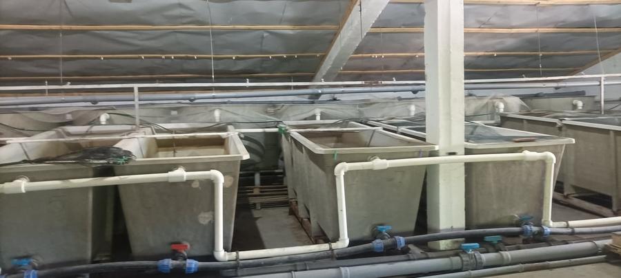 Casă cu 10 camere cu Teren 28000 Mp în Central