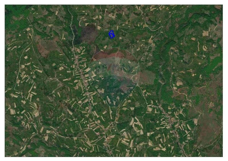 Teren agricol extravilan de 10059 mp, în Roșia