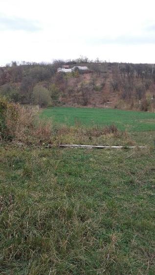 Teren Construcții intravilan de 6100 mp, în Deda