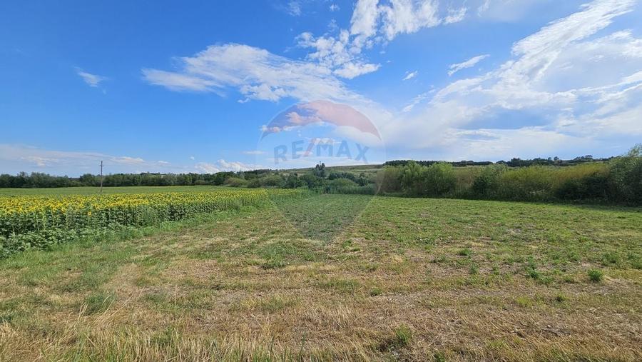 Teren agricol extravilan de 12000 mp, în Pădureni (Șendriceni)