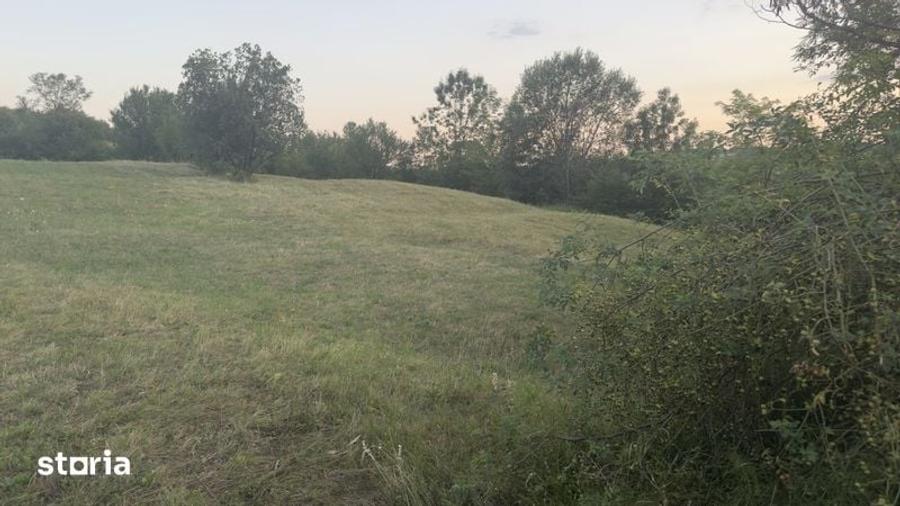 Teren de 5900 mp, în Baia de Fier
