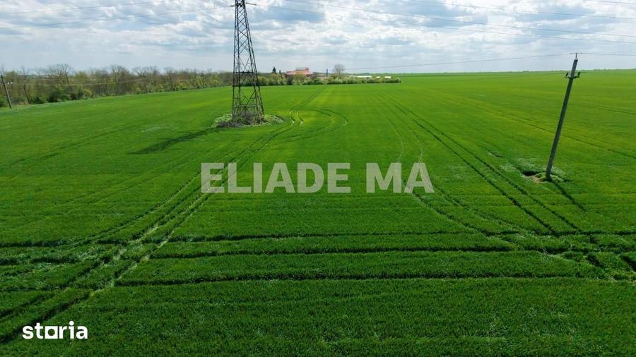 Teren intravilan de vanzare - Costinesti - 3
