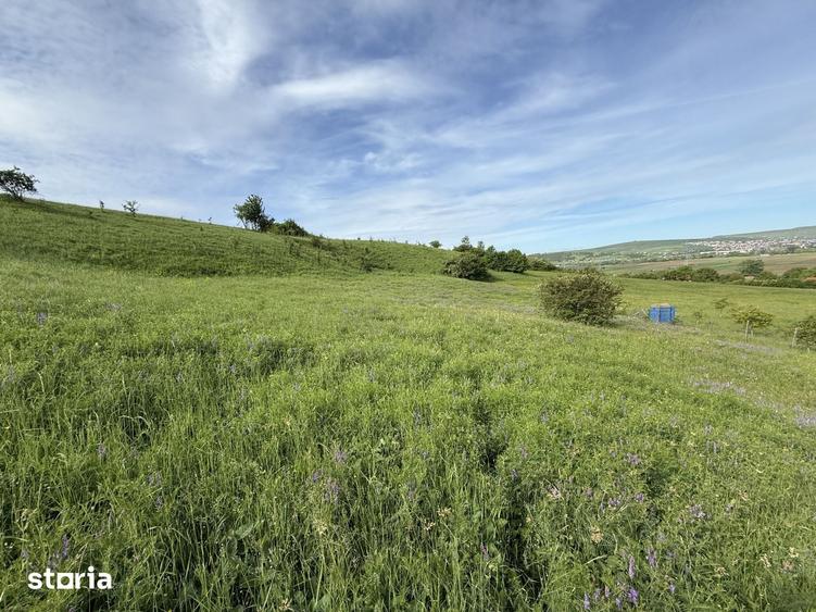 Teren de 14439 mp, în Jucu