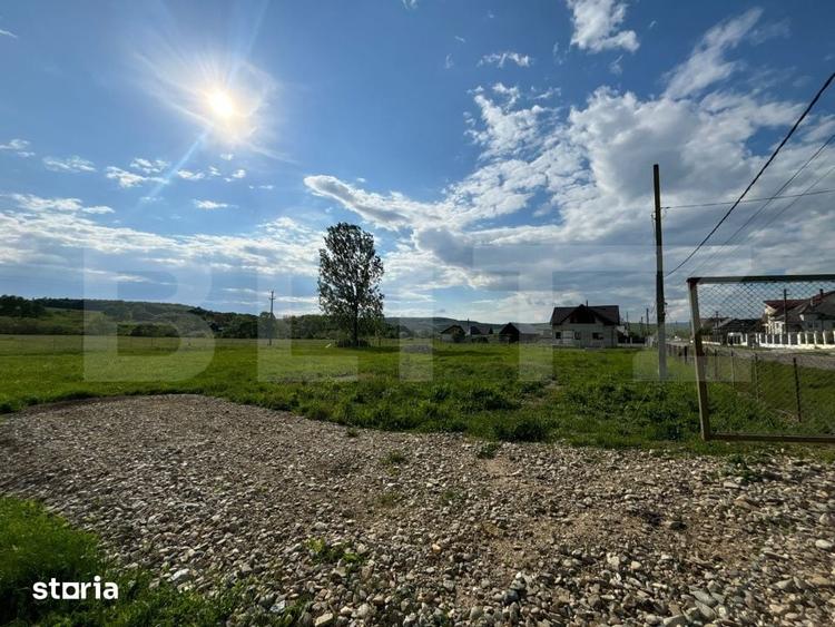 Teren intravilan 22 ari, ideal pentru locuinta/investitie in Tarpiu - 1