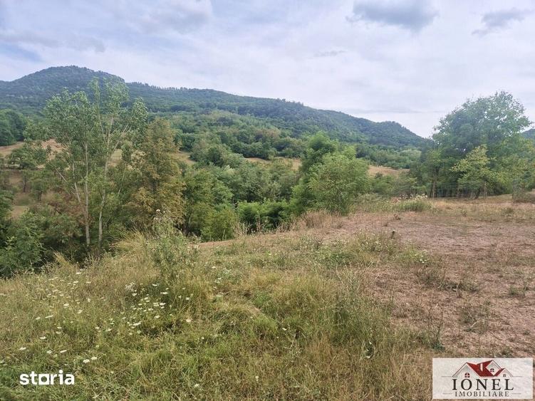 Casă cu 3 camere cu Teren 6296 Mp în Meteș