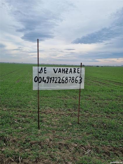 Teren în Săcălaz