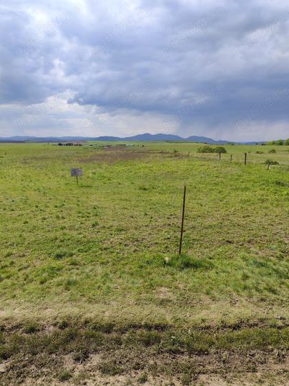 Teren de 6000 mp, în Central