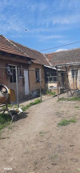 Casa cu 3 camere ?i teren de 1500 mp - 3