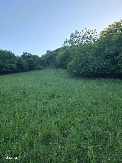 Teren de 4500 mp, în Tureni