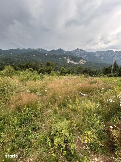 Teren de 1000 mp, în Cumpătu