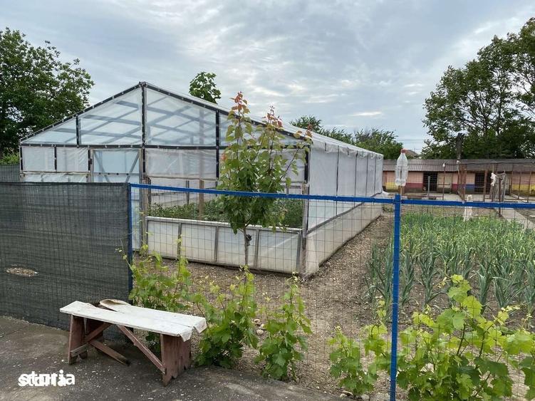 Casă cu 5 camere cu Teren 1000 Mp în Putineiu