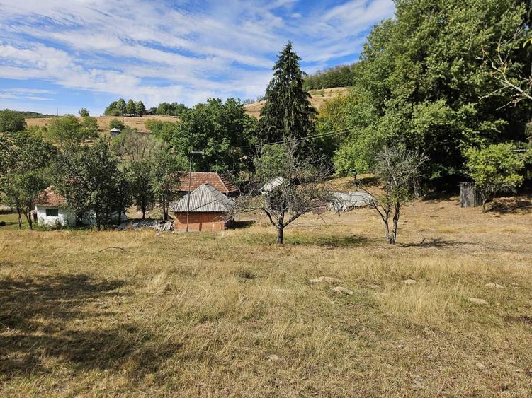 Casă cu 2 camere în Damiș
