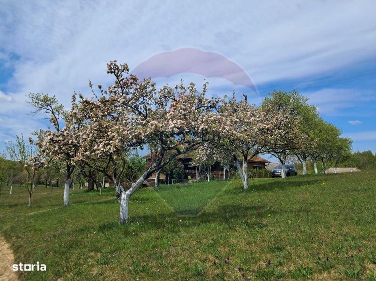 Casă cu 4 camere cu Teren 11769 Mp în Munteni