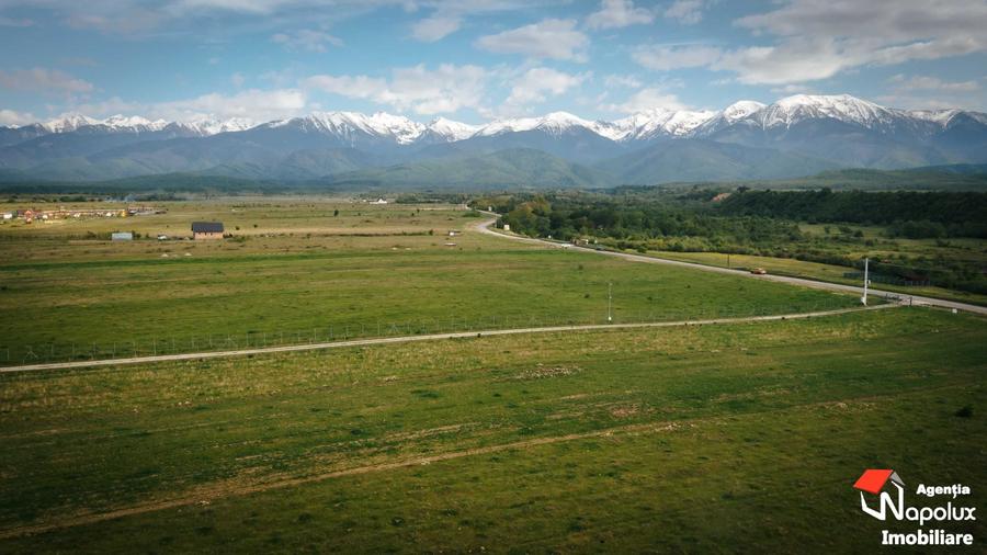 Teren superb zona Valea Avrigului - 7