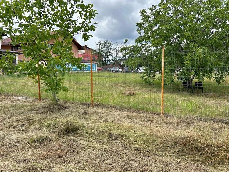 Teren de 975 mp, în Păulești