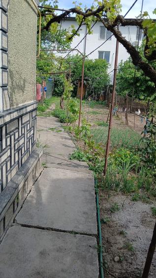 Casă cu Teren 340 Mp în Marghiloman