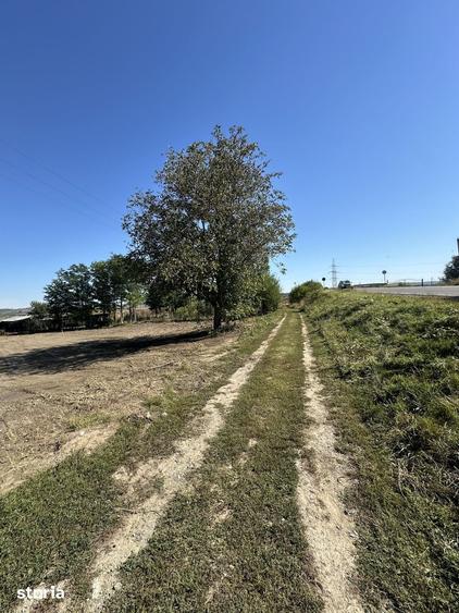 Teren de 700 mp, în Central