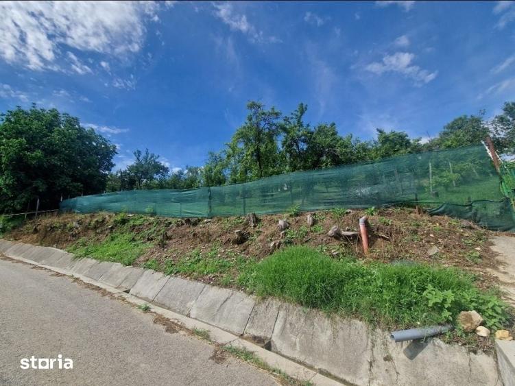 Teren de 1400 mp, în Albota