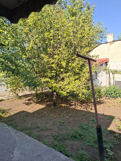 Casă cu 3 camere cu Teren 320 Mp în Rahova