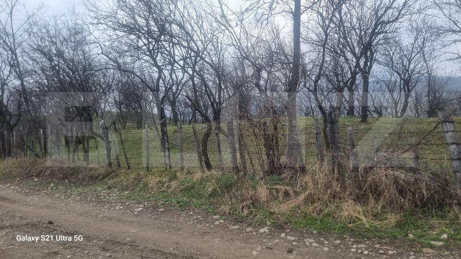 Teren Construcții intravilan de 3781 mp, în Schiulești