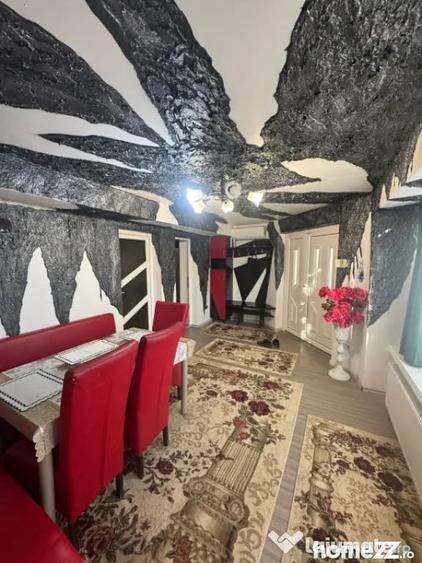 Apartament cu 2 intrari, beci 27 mp, mobilat Orasul Vech - 14