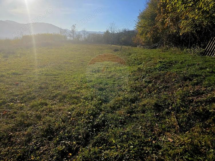 Teren de 6874 mp, în Alexandru cel Bun
