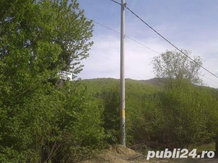 Teren de 1900 mp, în Sud