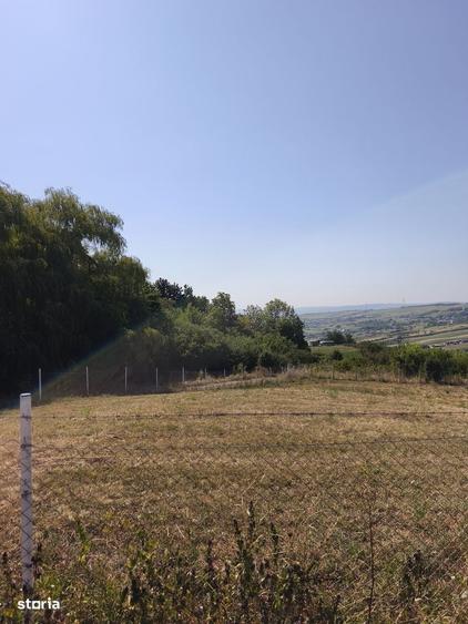 Teren cu o panorama superba,la marginea padurii ( rezervatie naturala) - 2