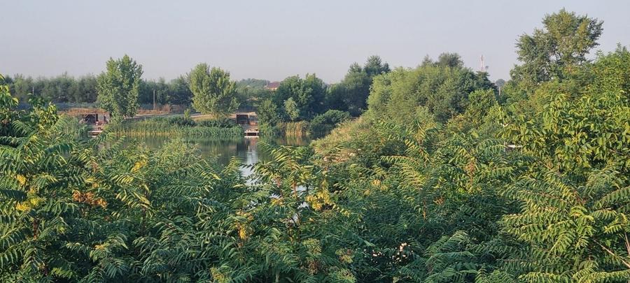 Teren Construcții intravilan de 1000 mp, în Clinceni