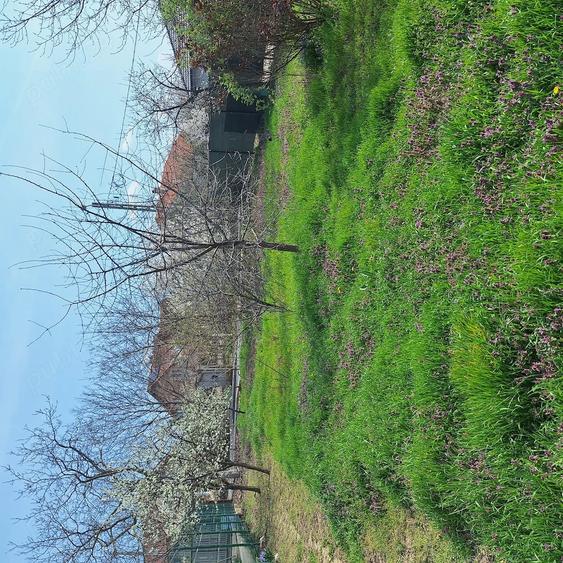 Apartament cu 2 camere decomandat în Nufărul