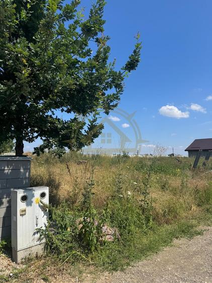 Teren Construcții intravilan de 1028 mp, în Crevedia
