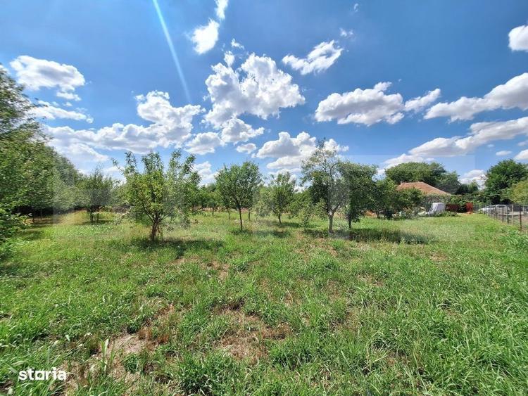 Teren intravilan, 4600 mp, dezvoltari imobiliare, Timisoara - 2