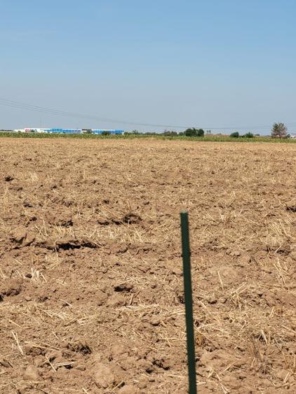 Teren agricol intravilan de 4900 mp, în Joița